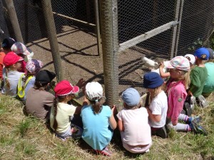 FondationLaCoudre_SortieScolaire