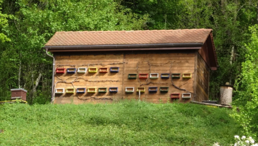 LaCoudre_RucherEcole